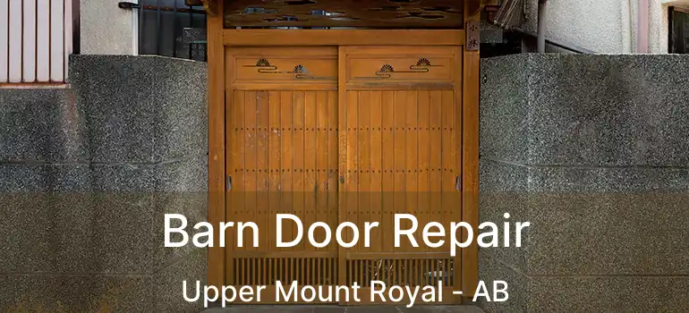  Barn Door Repair Upper Mount Royal - AB