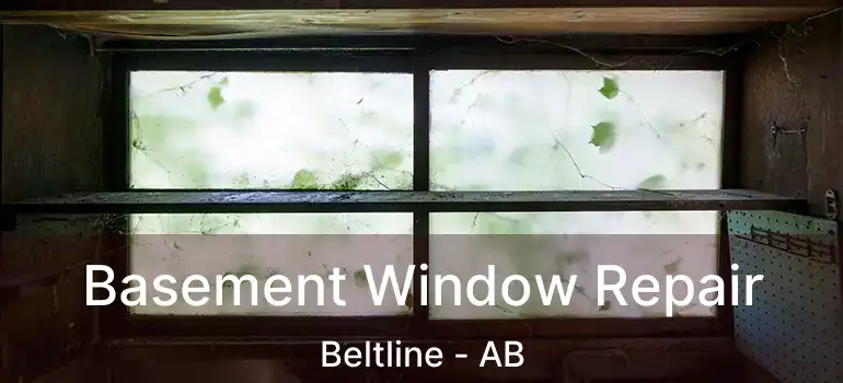  Basement Window Repair Beltline - AB