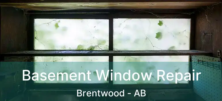  Basement Window Repair Brentwood - AB