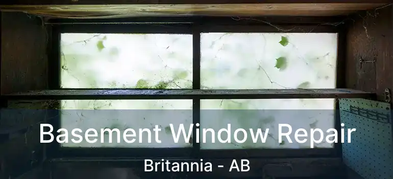  Basement Window Repair Britannia - AB