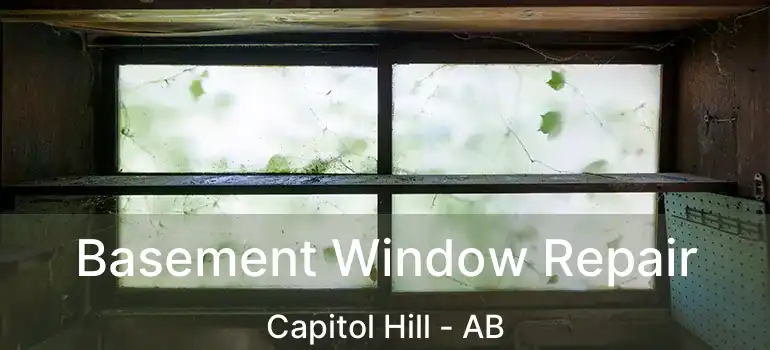  Basement Window Repair Capitol Hill - AB