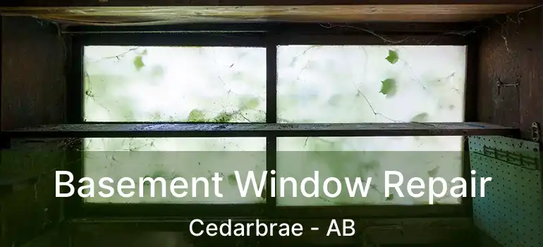  Basement Window Repair Cedarbrae - AB