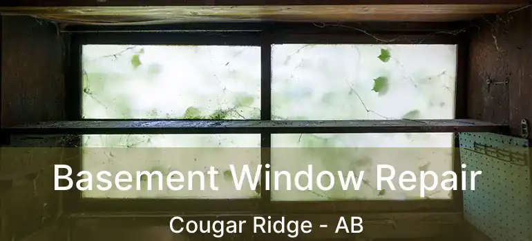  Basement Window Repair Cougar Ridge - AB