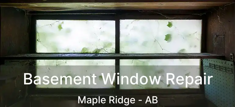  Basement Window Repair Maple Ridge - AB