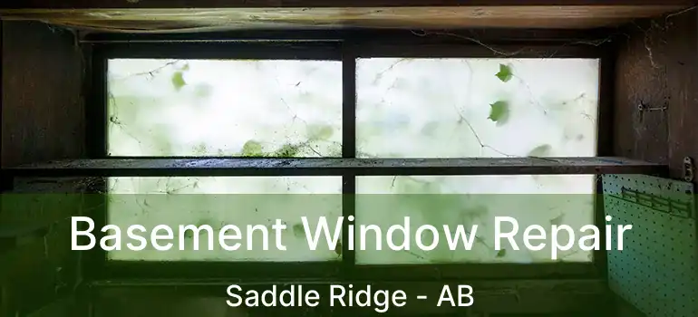  Basement Window Repair Saddle Ridge - AB