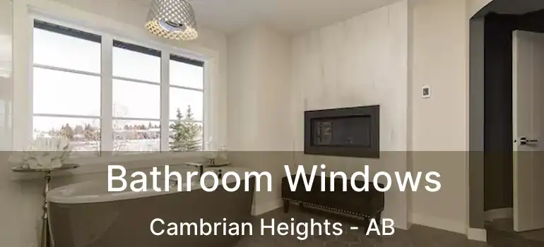  Bathroom Windows Cambrian Heights - AB