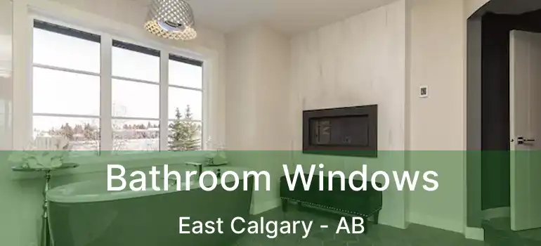  Bathroom Windows East Calgary - AB