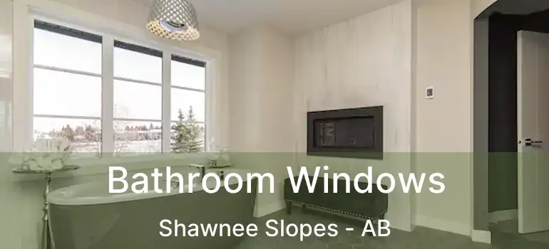  Bathroom Windows Shawnee Slopes - AB