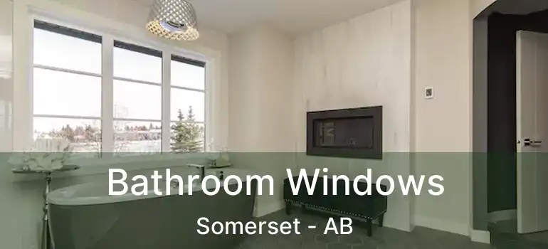  Bathroom Windows Somerset - AB