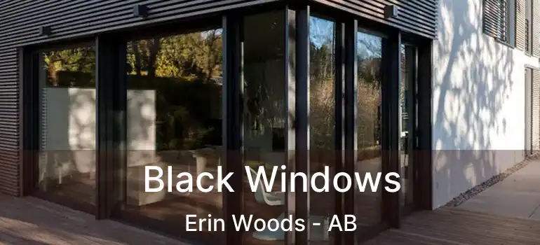  Black Windows Erin Woods - AB