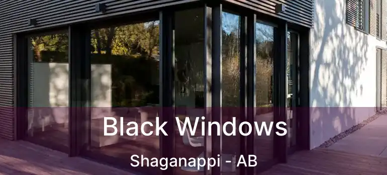  Black Windows Shaganappi - AB