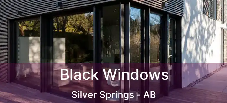  Black Windows Silver Springs - AB