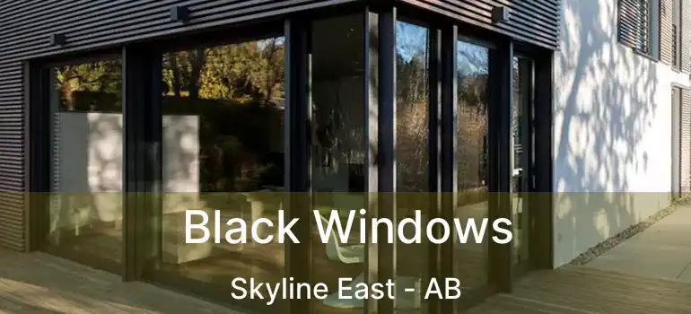  Black Windows Skyline East - AB