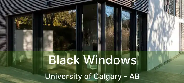  Black Windows University of Calgary - AB