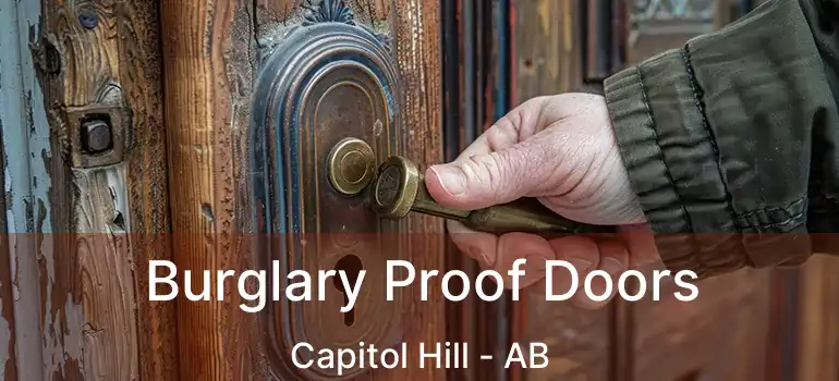  Burglary Proof Doors Capitol Hill - AB