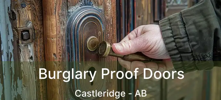  Burglary Proof Doors Castleridge - AB