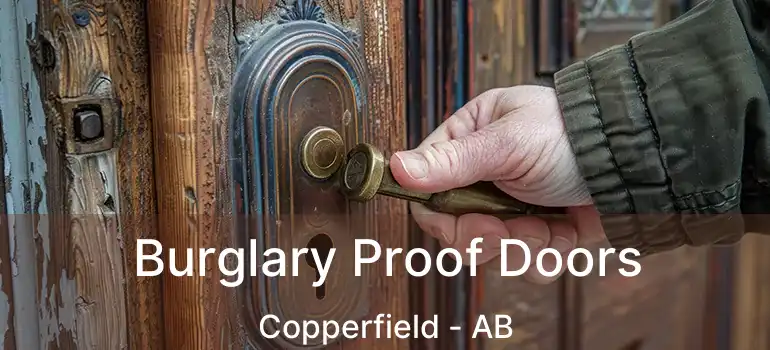  Burglary Proof Doors Copperfield - AB