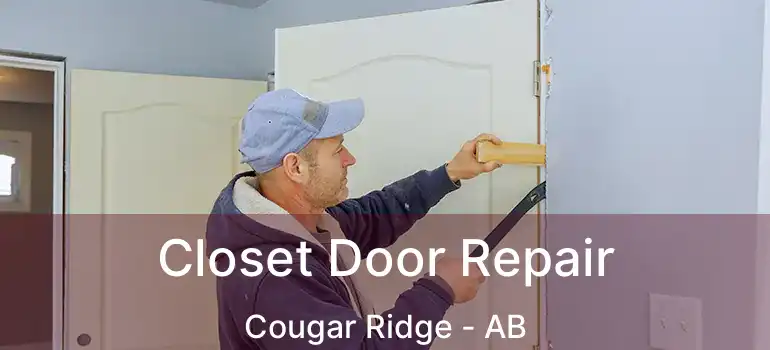  Closet Door Repair Cougar Ridge - AB
