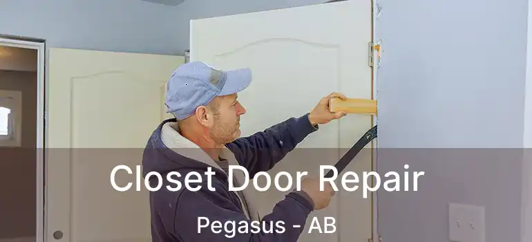  Closet Door Repair Pegasus - AB