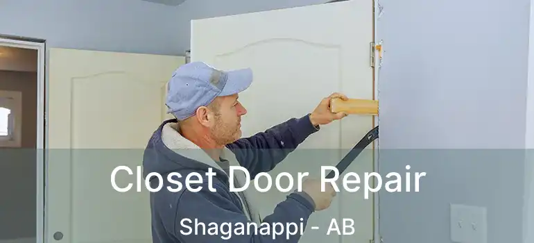  Closet Door Repair Shaganappi - AB