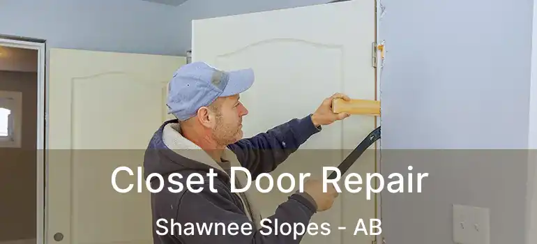  Closet Door Repair Shawnee Slopes - AB