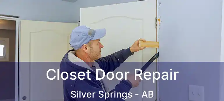  Closet Door Repair Silver Springs - AB