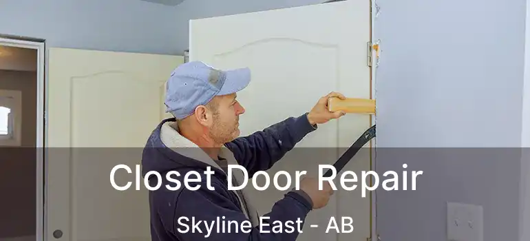  Closet Door Repair Skyline East - AB