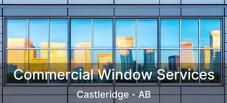  Commercial Window Services Castleridge - AB