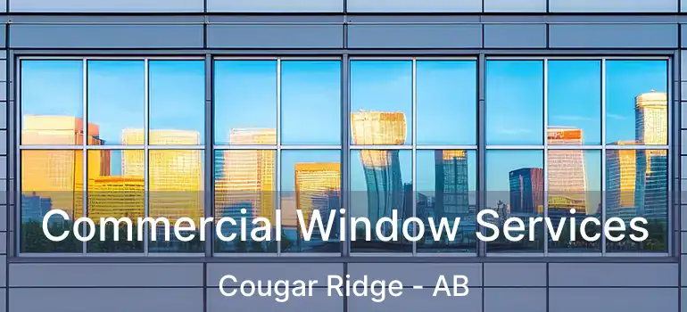  Commercial Window Services Cougar Ridge - AB