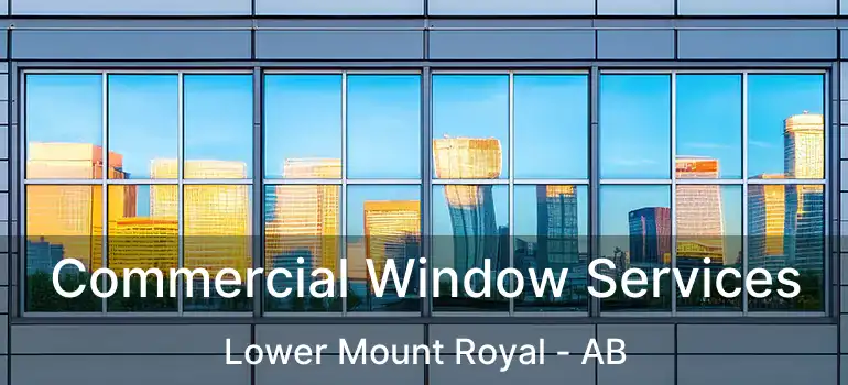  Commercial Window Services Lower Mount Royal - AB