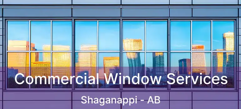  Commercial Window Services Shaganappi - AB