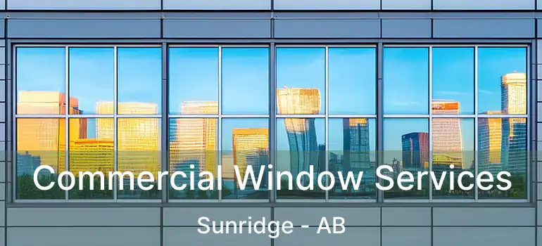  Commercial Window Services Sunridge - AB