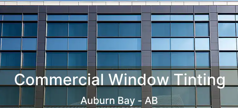  Commercial Window Tinting Auburn Bay - AB
