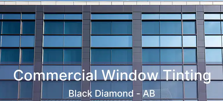  Commercial Window Tinting Black Diamond - AB