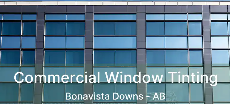  Commercial Window Tinting Bonavista Downs - AB