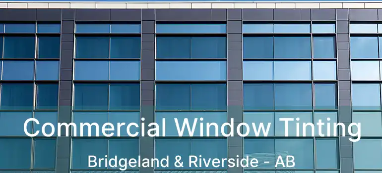  Commercial Window Tinting Bridgeland & Riverside - AB