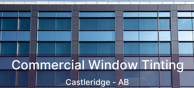  Commercial Window Tinting Castleridge - AB
