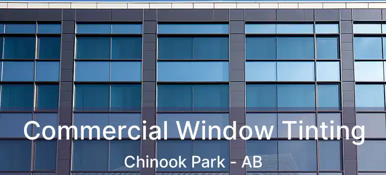  Commercial Window Tinting Chinook Park - AB