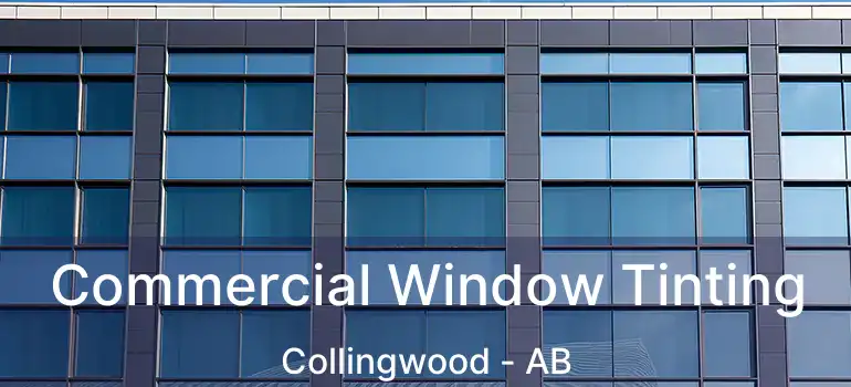  Commercial Window Tinting Collingwood - AB