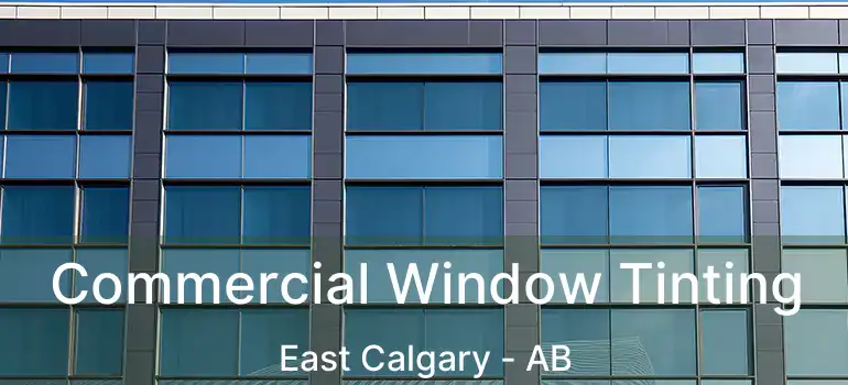  Commercial Window Tinting East Calgary - AB