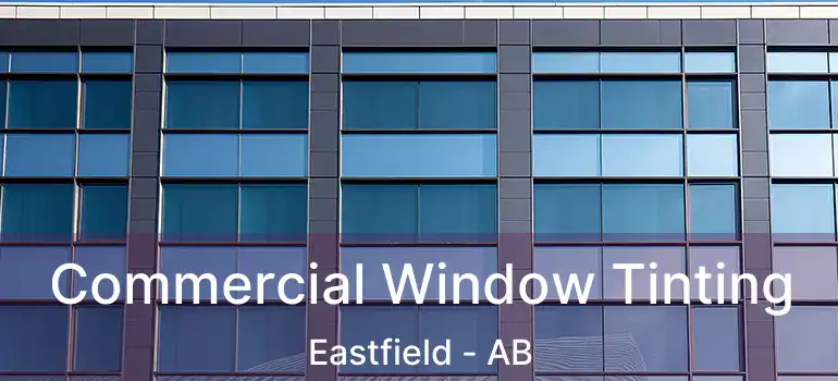  Commercial Window Tinting Eastfield - AB