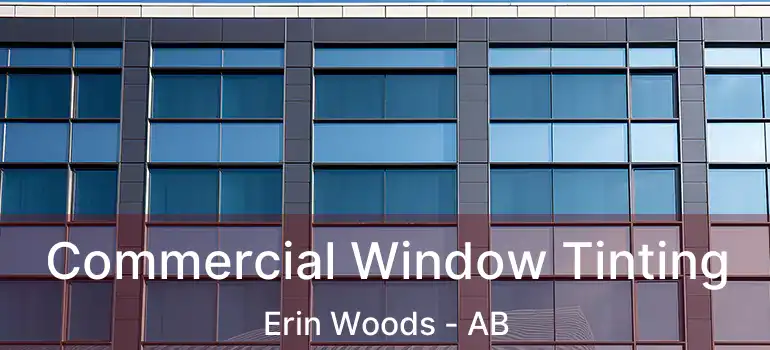  Commercial Window Tinting Erin Woods - AB