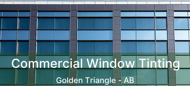  Commercial Window Tinting Golden Triangle - AB