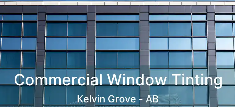  Commercial Window Tinting Kelvin Grove - AB