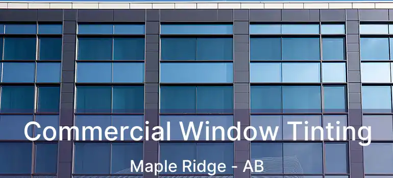  Commercial Window Tinting Maple Ridge - AB