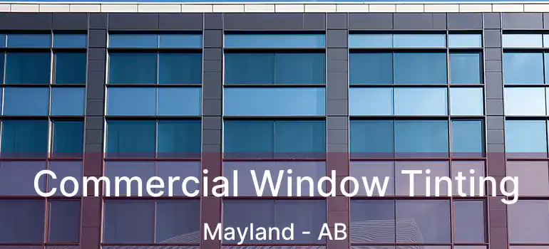  Commercial Window Tinting Mayland - AB