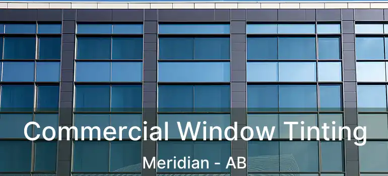  Commercial Window Tinting Meridian - AB