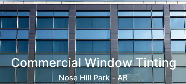  Commercial Window Tinting Nose Hill Park - AB