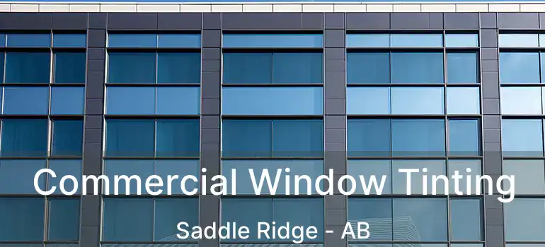  Commercial Window Tinting Saddle Ridge - AB
