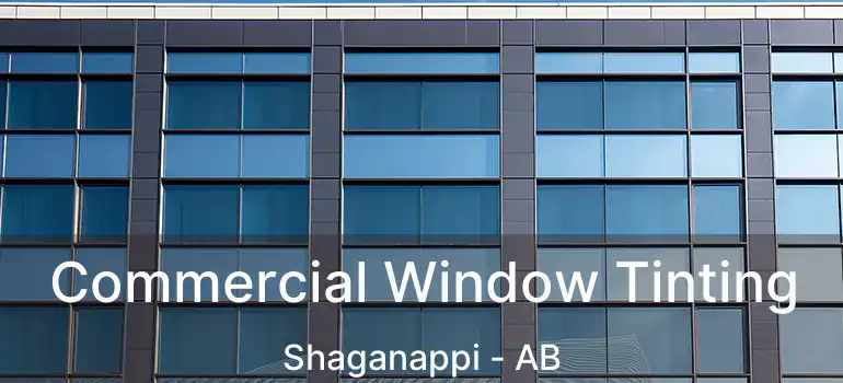  Commercial Window Tinting Shaganappi - AB